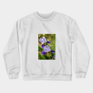 Purple flowers in summer garden Crewneck Sweatshirt